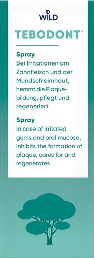 TEBODONT Spray 25 ml