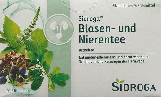 SIDROGA Blasen- und Nierentee 20 Btl 1.3 g