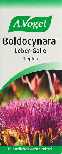 VOGEL Boldocynara Leber-Galle Tropfen Fl 50 ml