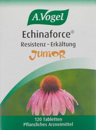 VOGEL Echinaforce Resist Erkäl Tabl Junior 120 Stk