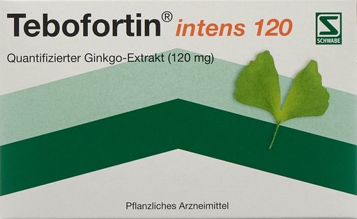 TEBOFORTIN intens 120 Filmtabl 120 mg 90 Stk