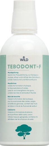 TEBODONT-F Mundspülung Petfl 500 ml
