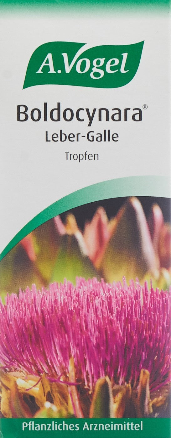 VOGEL Boldocynara Leber-Galle Tropfen Fl 100 ml